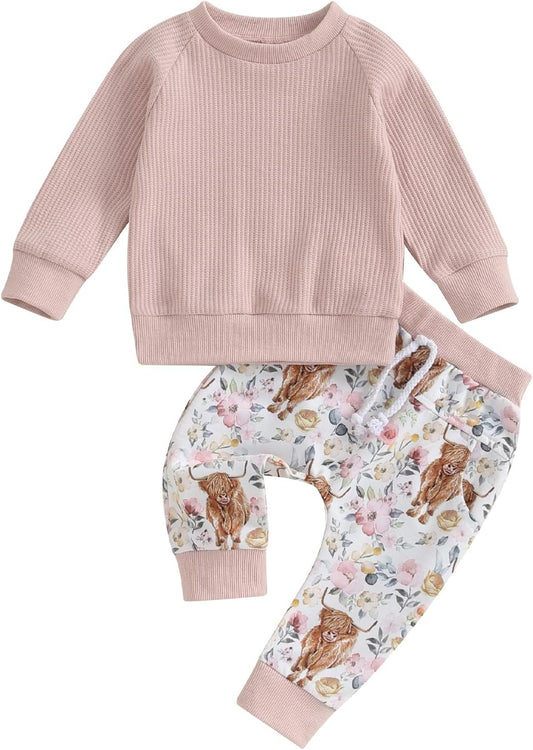 Baby Girl Clothes Set Avocado Pullover Sweatshirts Tops Floral Pants Outfits Cute Toddler Clothes for 0-6 Months baby