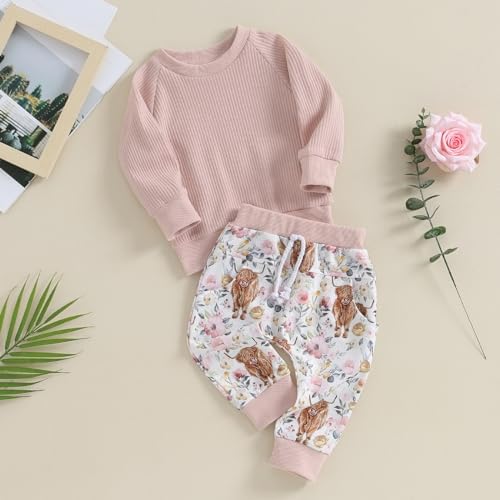 Baby Girl Clothes Set Avocado Pullover Sweatshirts Tops Floral Pants Outfits Cute Toddler Clothes for 0-6 Months baby